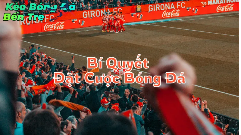 Bí Quyết Đặt Cược Bóng Đá Online Hiệu Quả Tại Bến Tre