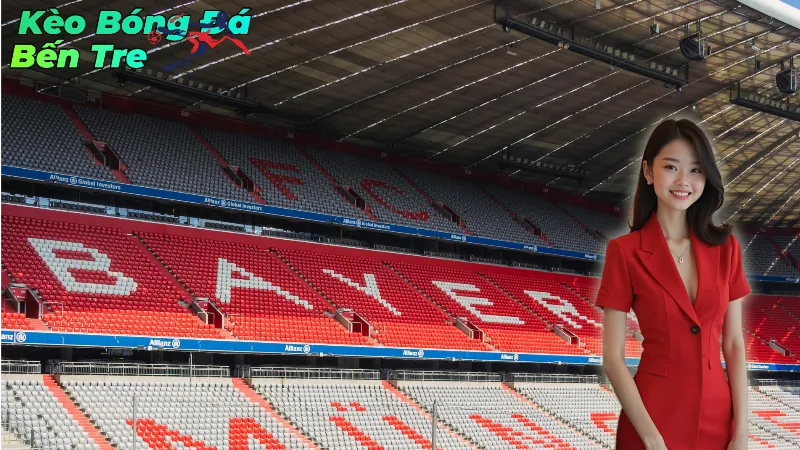 Quản Lý Tài Chính Hiệu Quả Trong Cá Độ Thành Công Tại Bến Tre